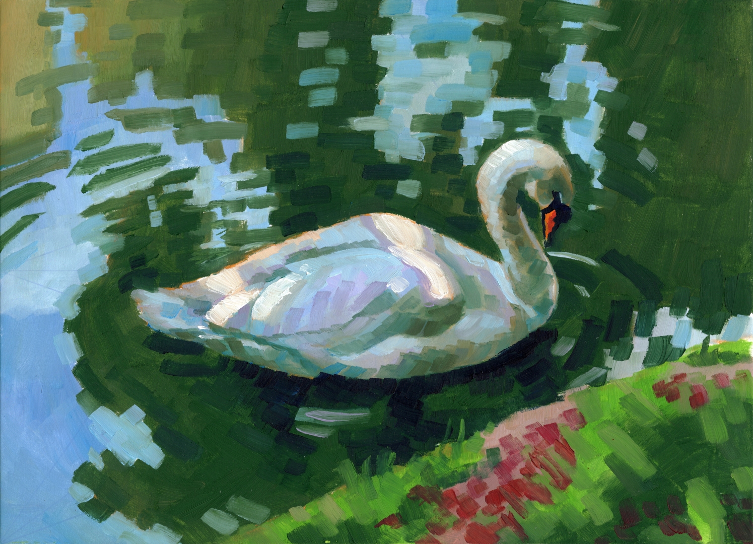 The Swimming Swan post featured image